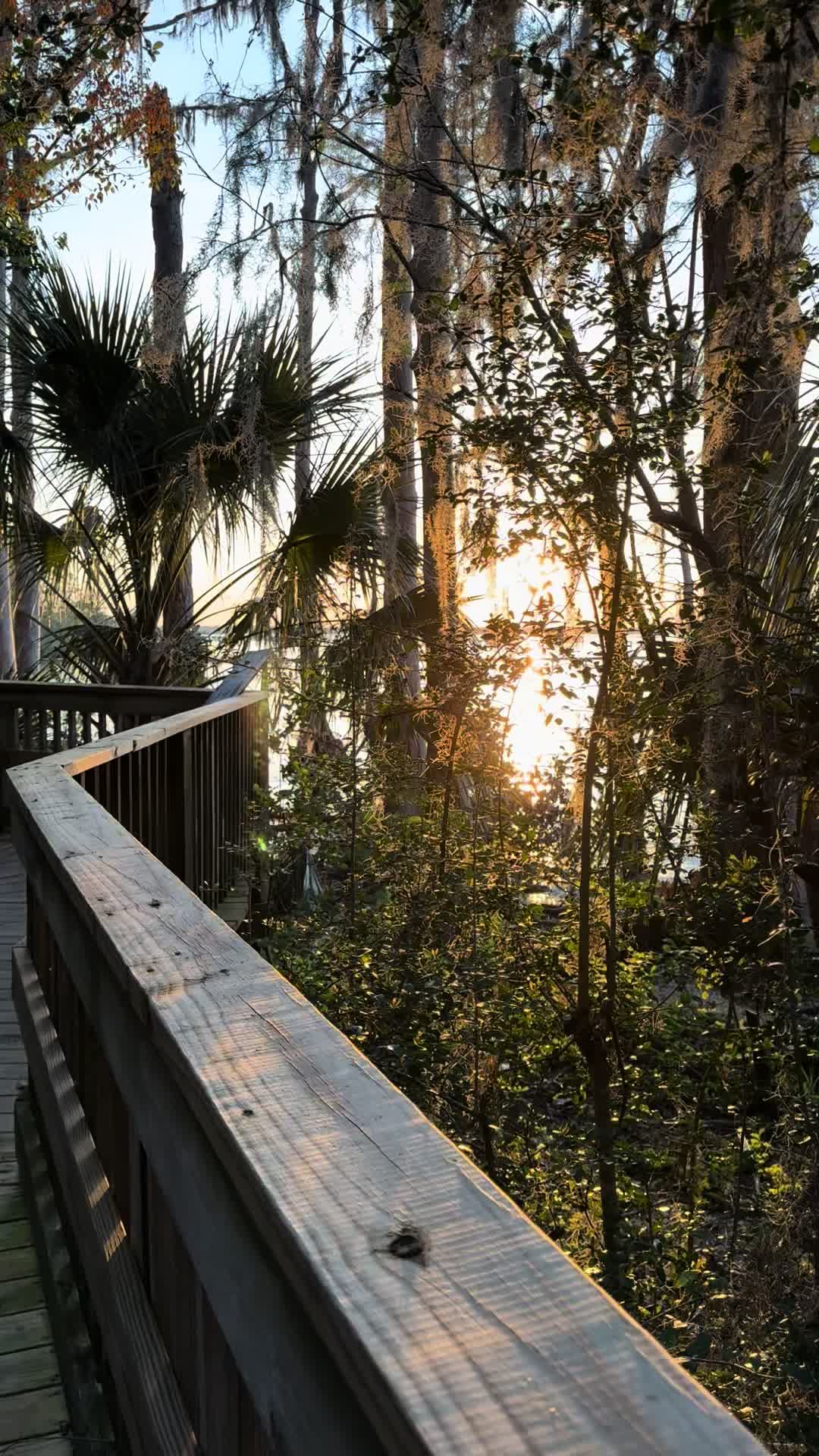 @handhadventures