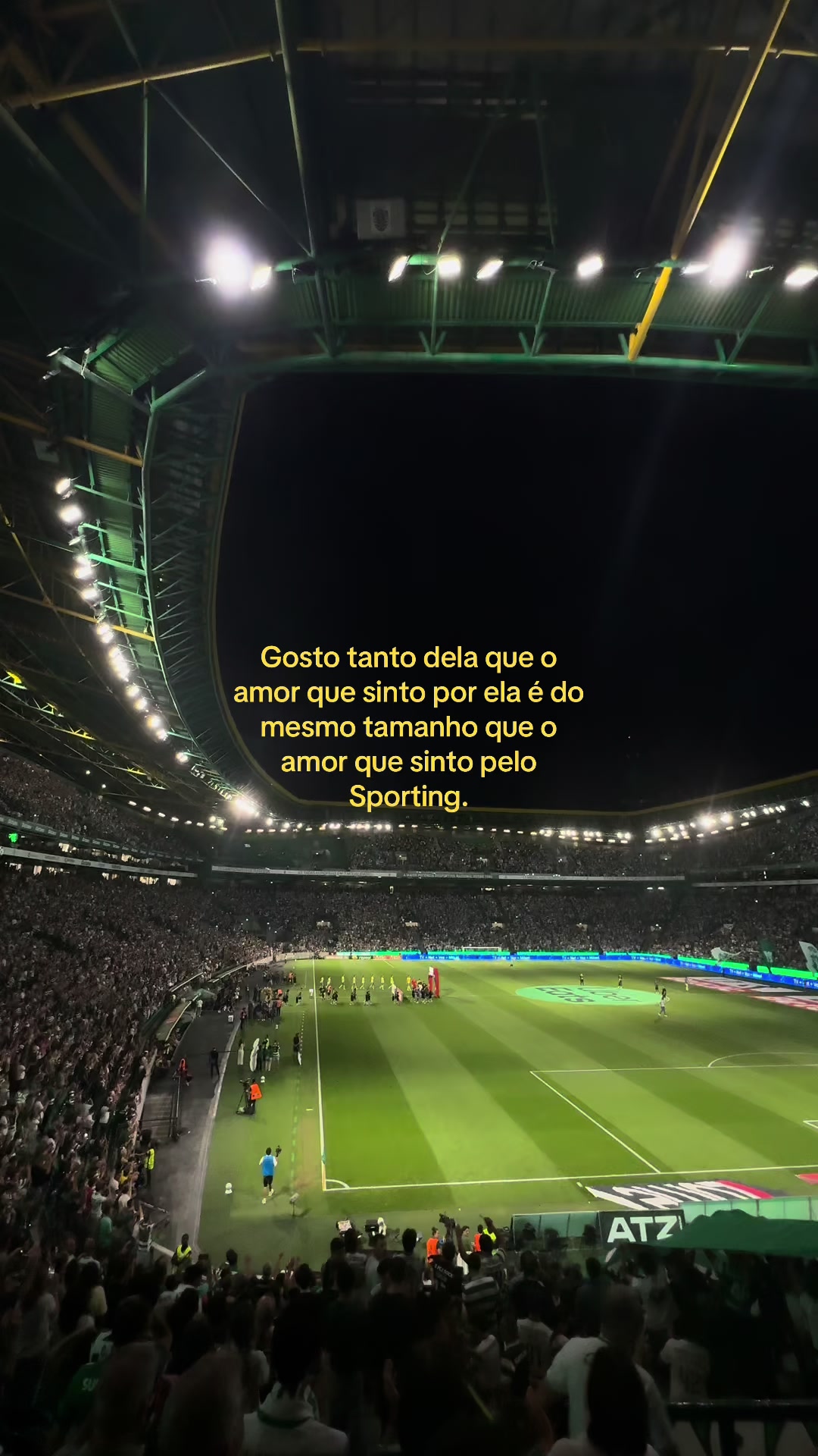 @tiago camarão🦐