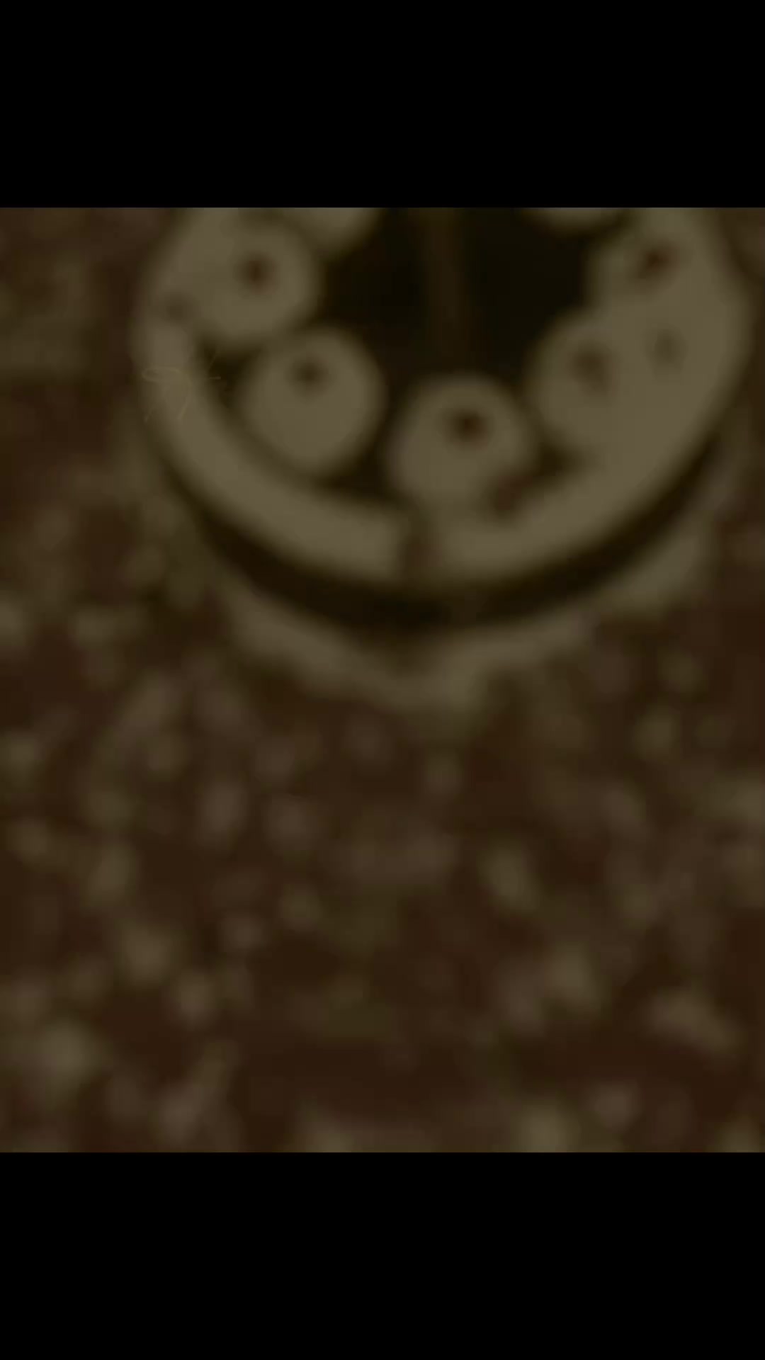 @꧁᭄ꗟ𝓱𝓪𝒽𝒛𝐚𝑑i⌁𝖔𝖋⌁нᥱárƚ ᭄꧂