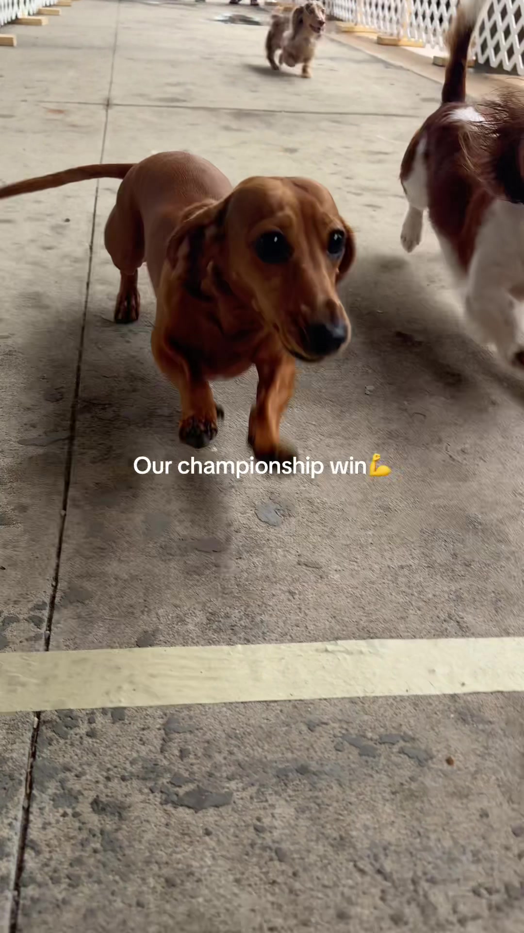 @Hazel & Heidi