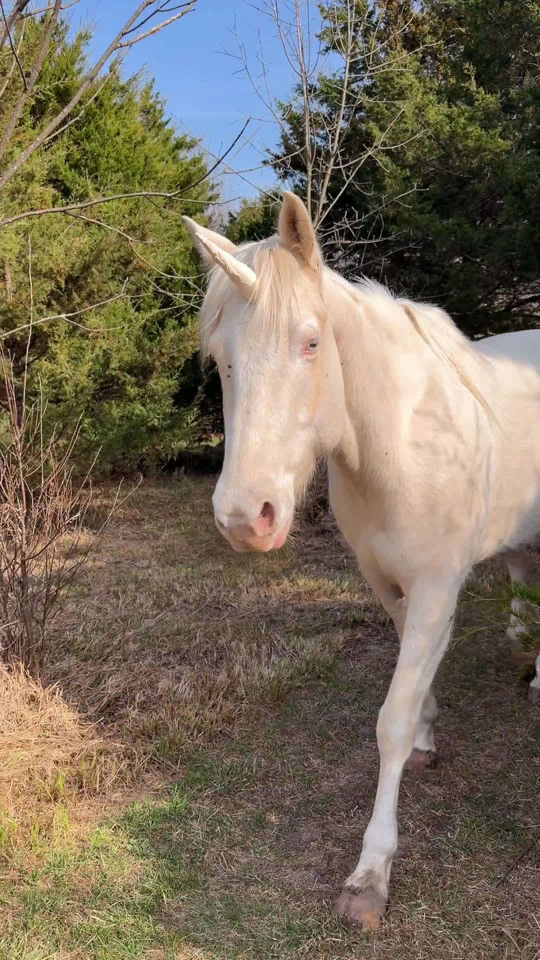 @Courtney 🦄