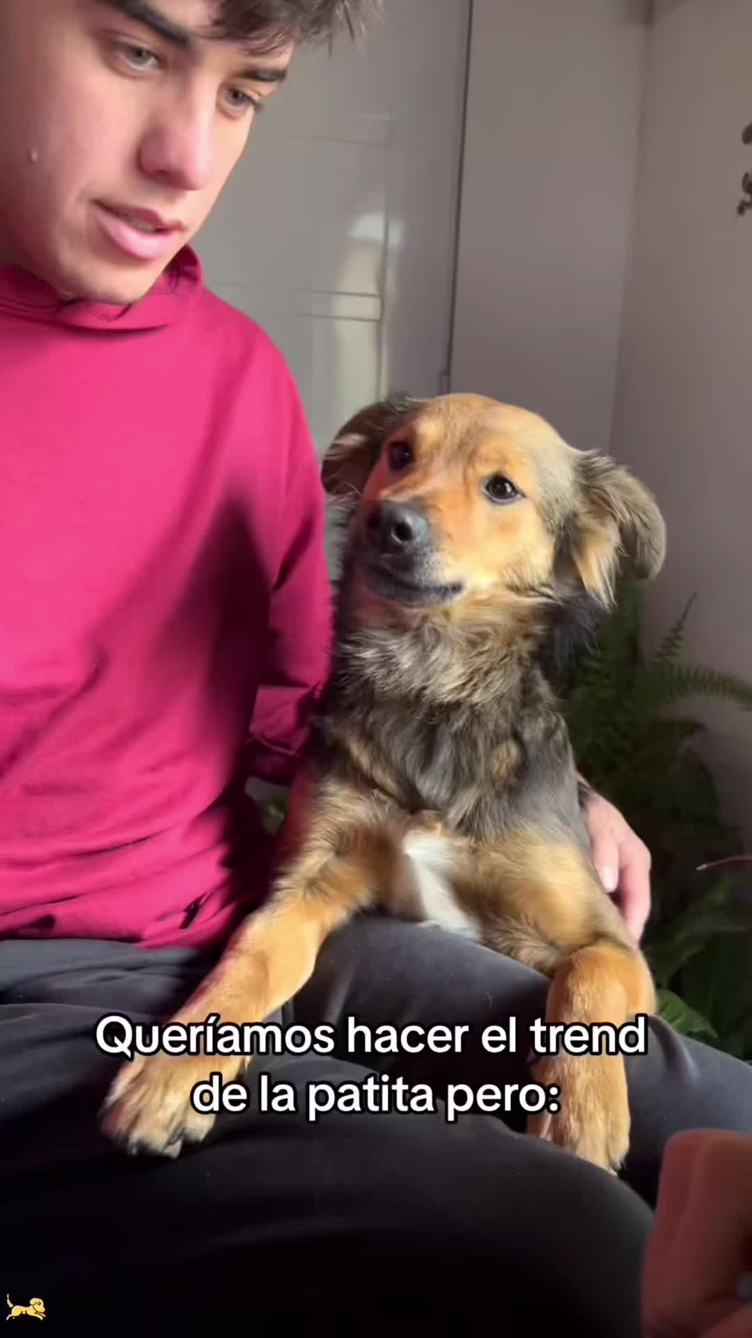 @cuteanimals472