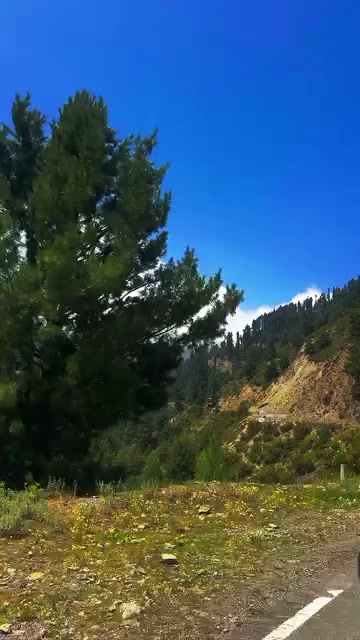 @raja