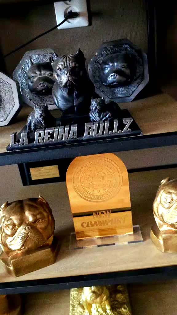 @La Reina Bullz