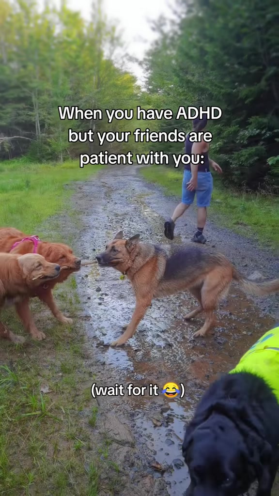 @brianne & your dog probably