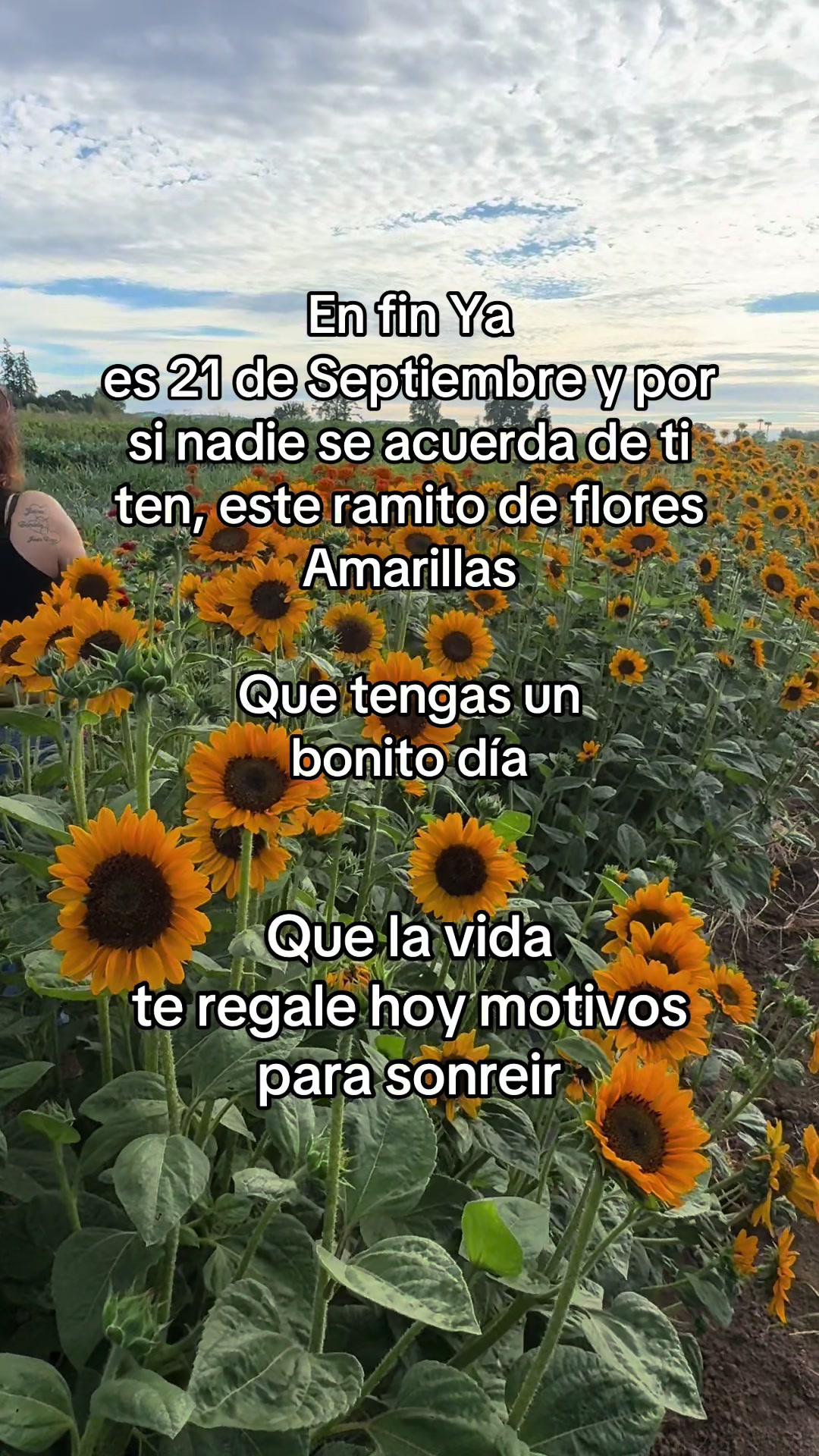 @⚜️🍓✨🪗pablocarbajal63✨👽🪗