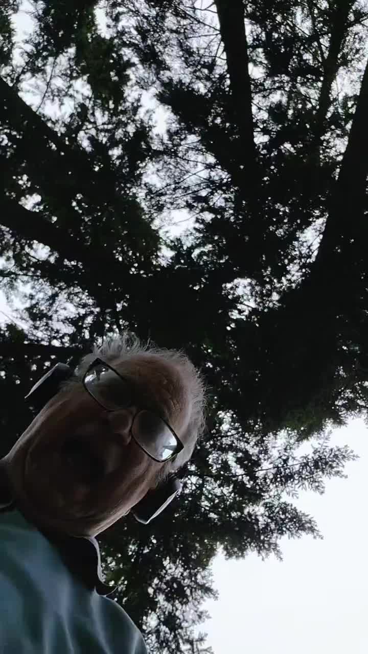 @bob sunshine