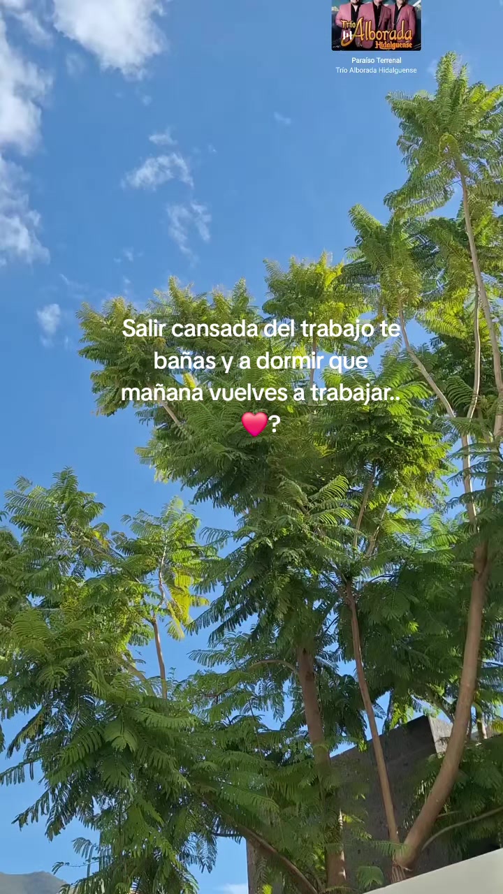 @Domn 🫶🏽