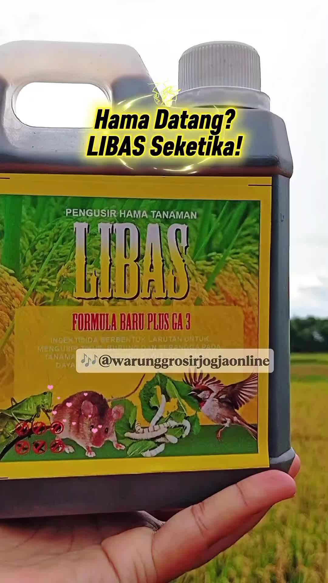 @warung grosir jogja online