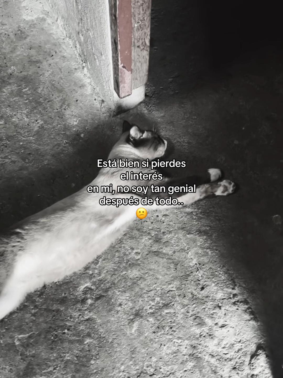 @2005❗️