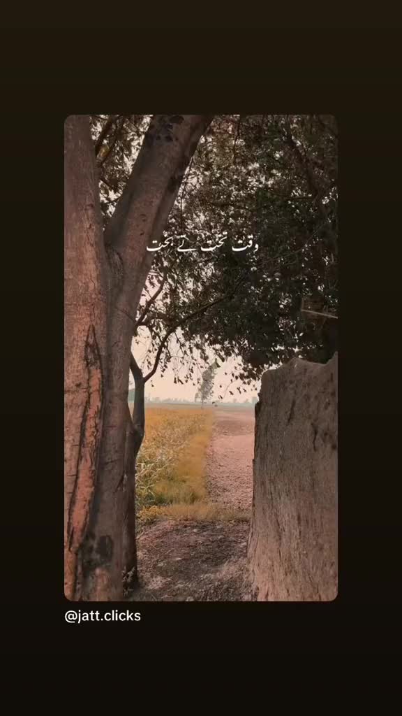 @Meeran Dar 🇮🇹