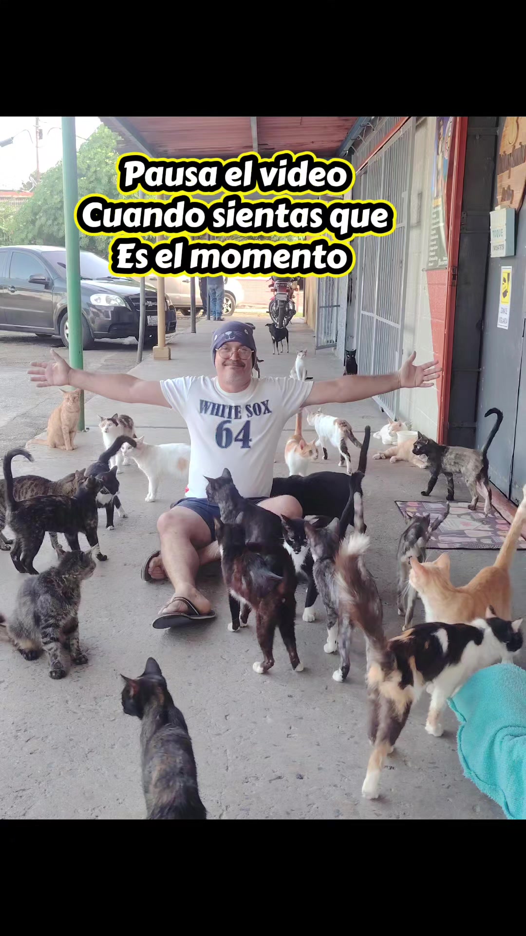 @Patitas y Garritas en la Calle