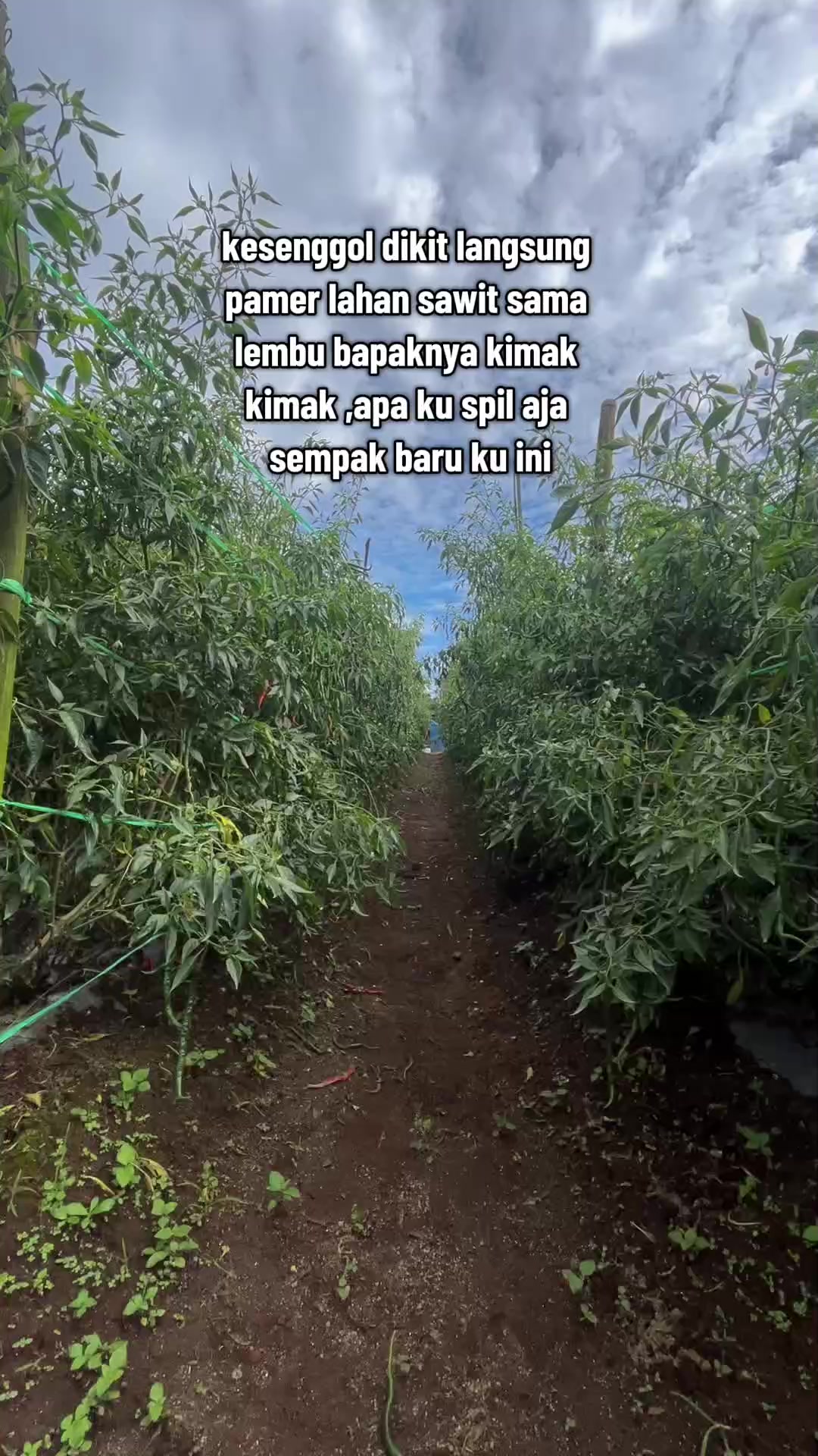 @m🅰️rtin