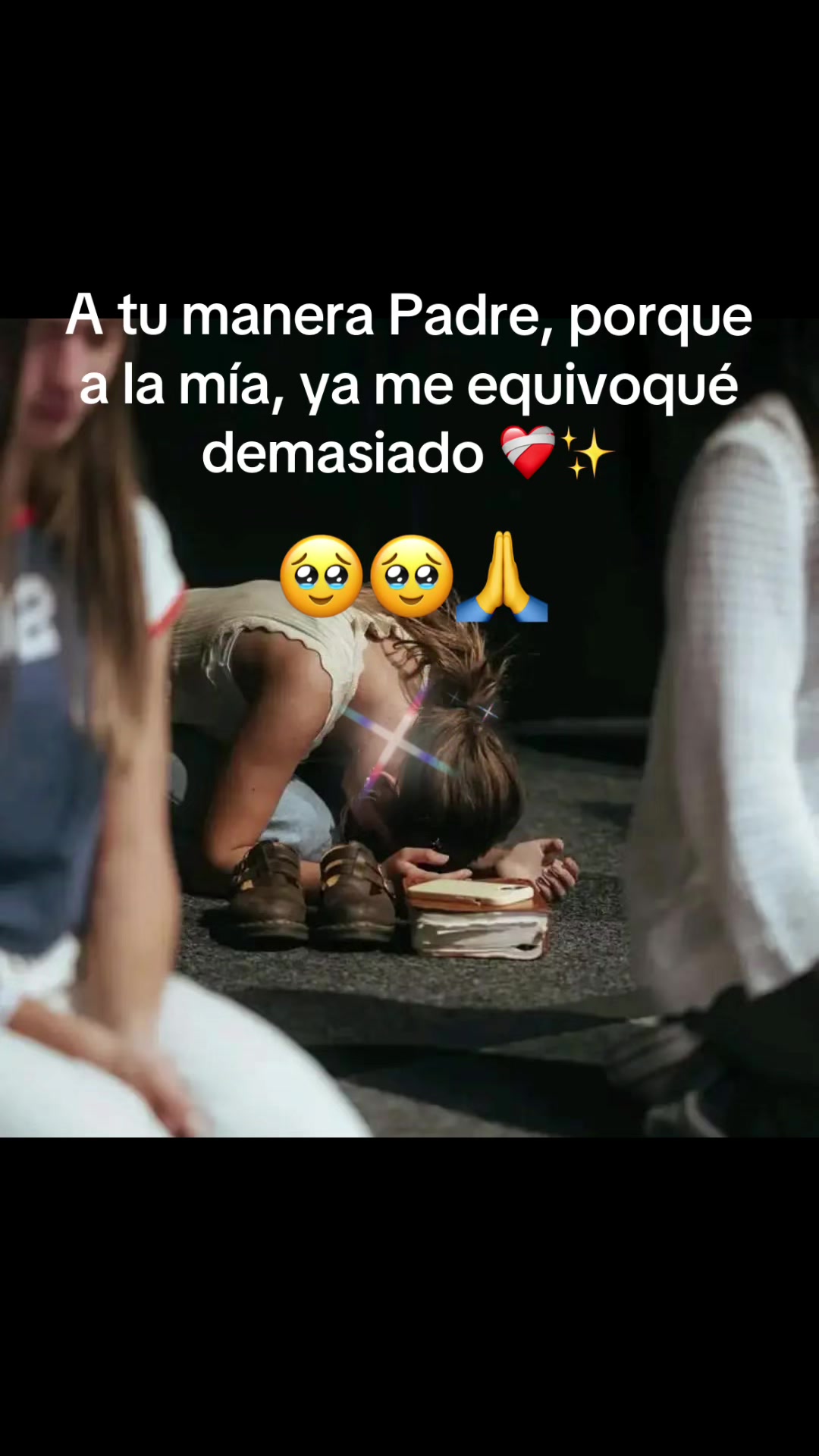 @Carol🌺yuleydi 🌺🐬🐈🐾