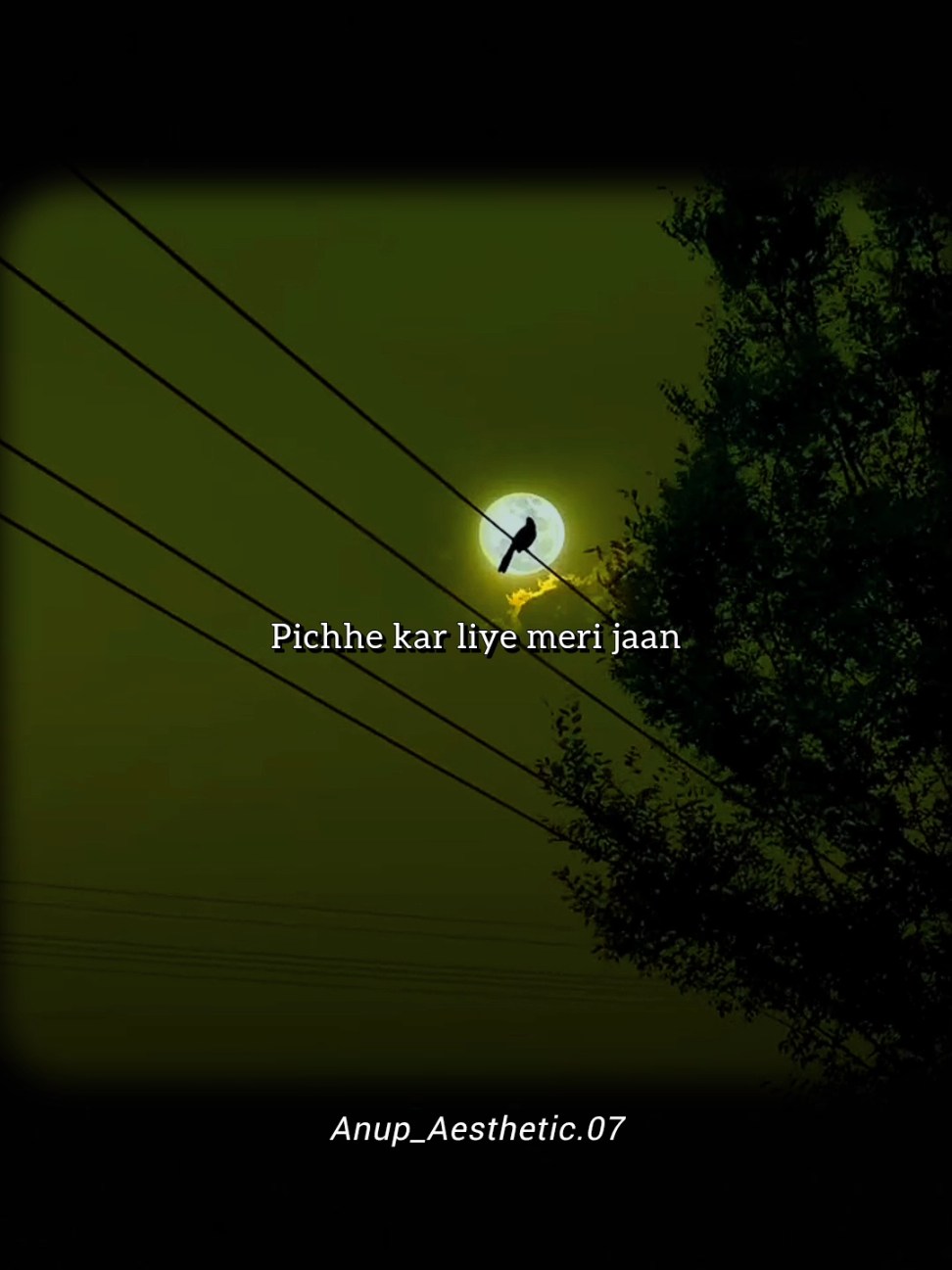 @anup_aesthetic 07