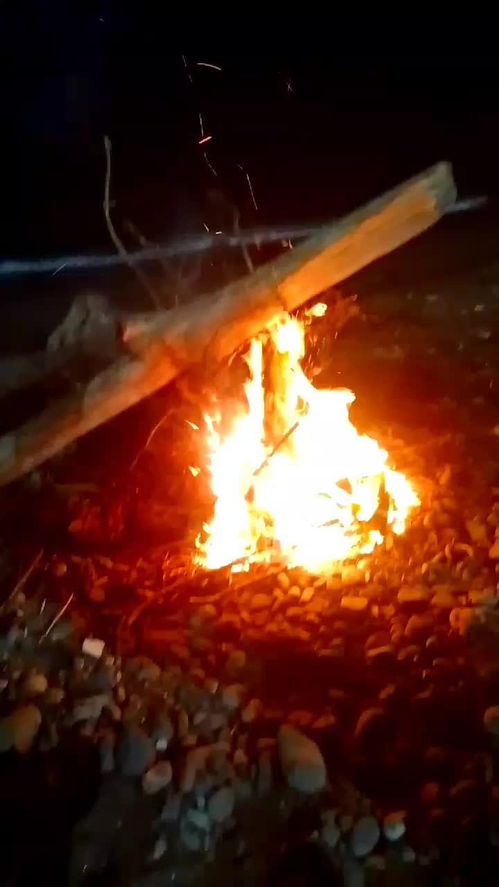 @Sarı Ordulu🇹🇷🤘🇹🇷