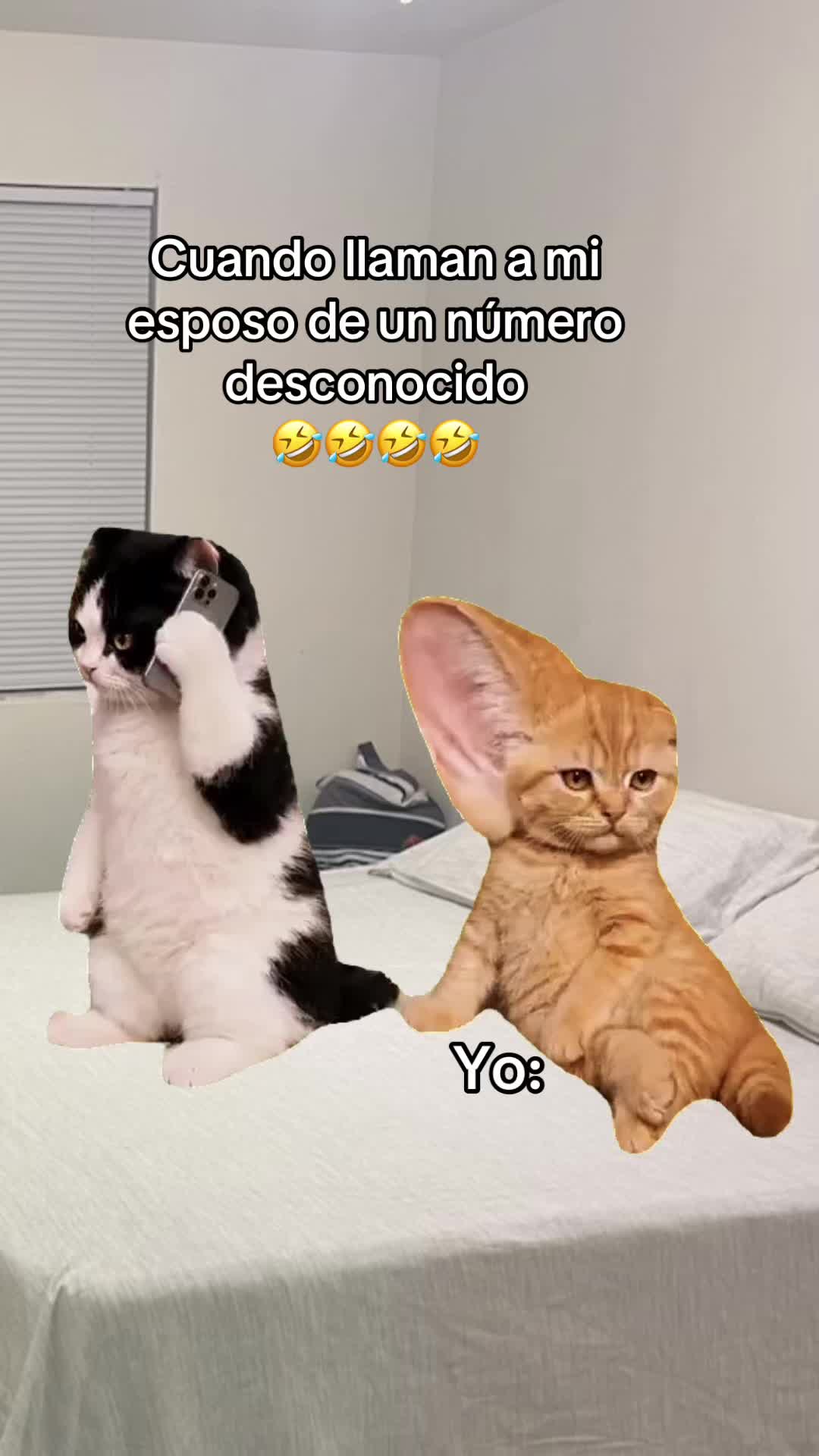 @𝓜𝓪𝓻𝓰𝓪𝓻𝓪.𝓞𝓯𝓲𝓬𝓲𝓪𝓵✨