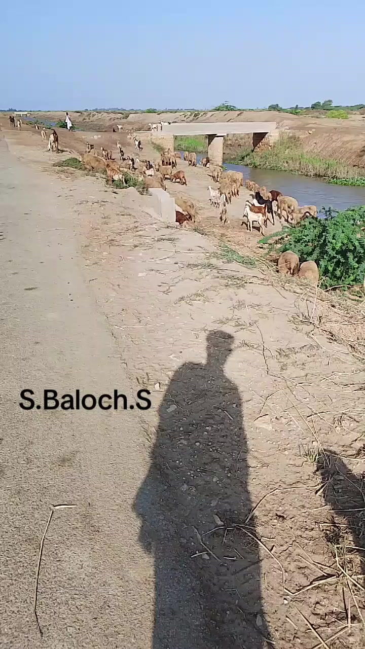 @S. عبدالشکیل بلوچS.