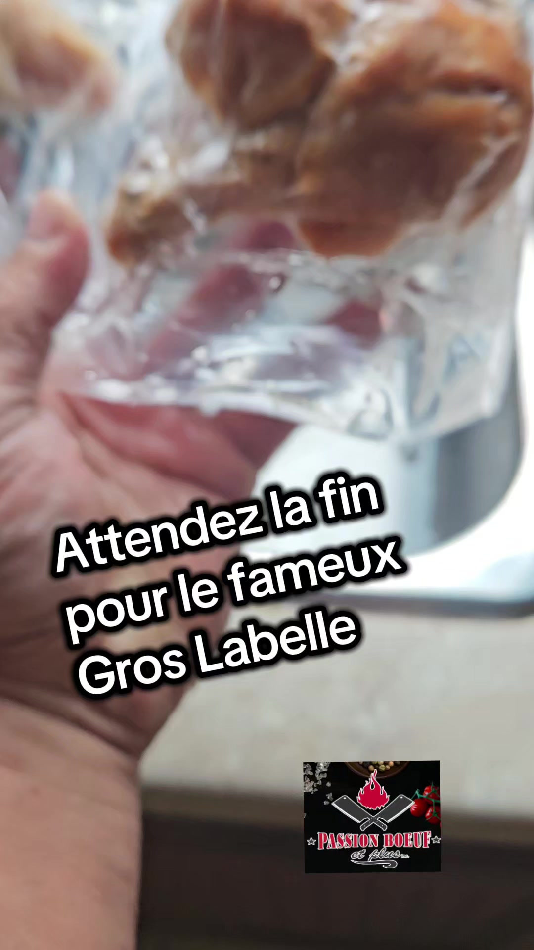 @Le Felin🐾