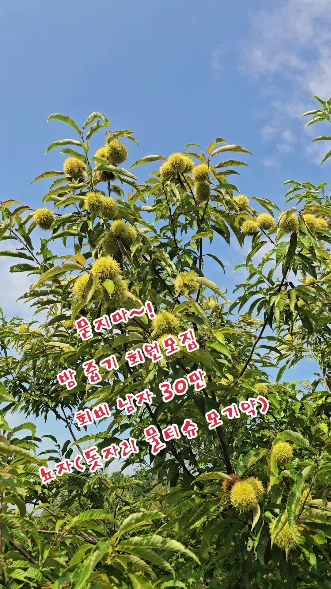 @나는 자연인이다 ~🤪