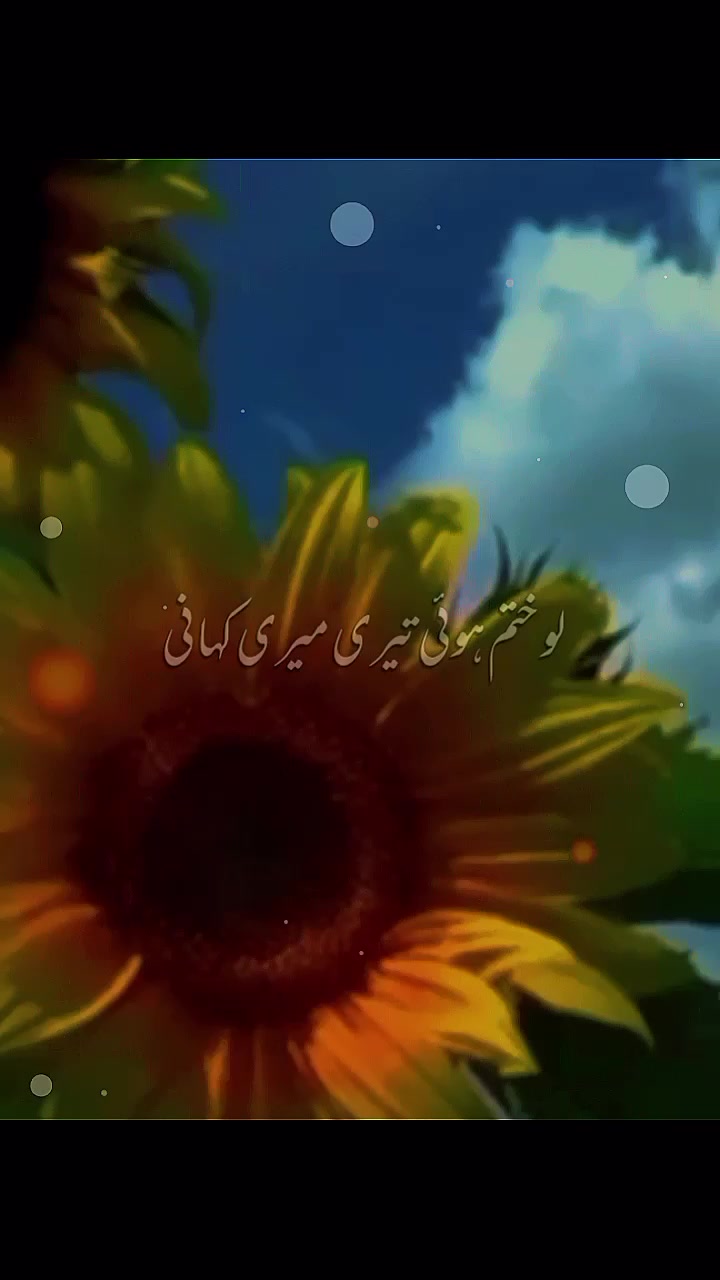 @Noor