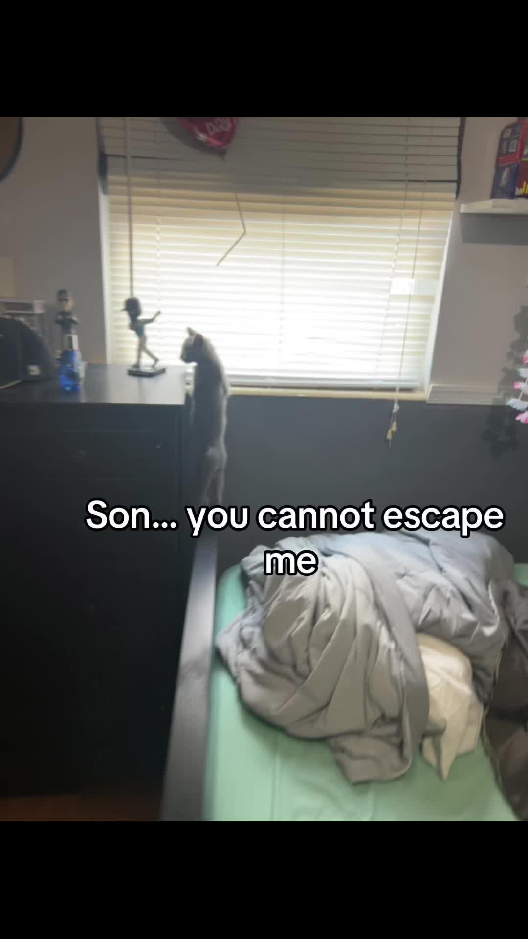 @🔔 y&ouml;nka