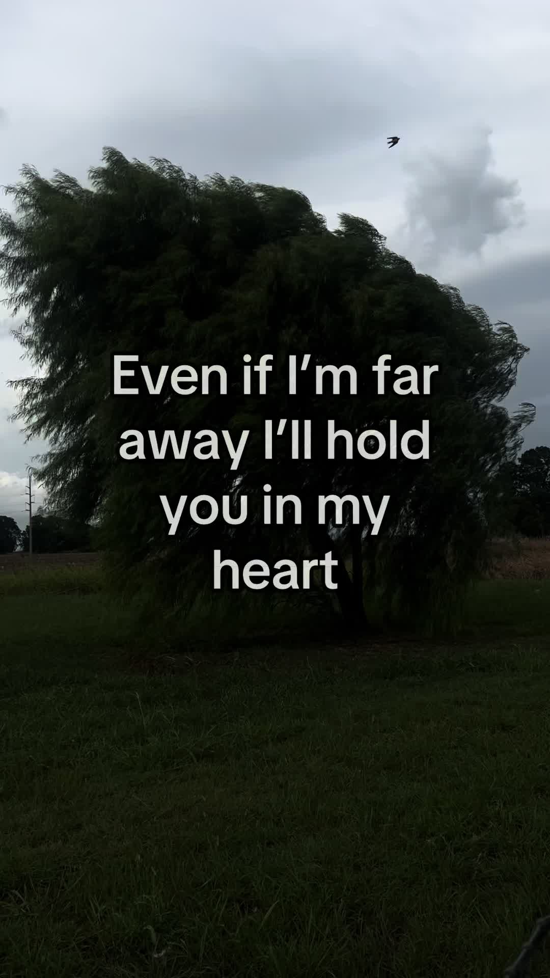 @Jayden