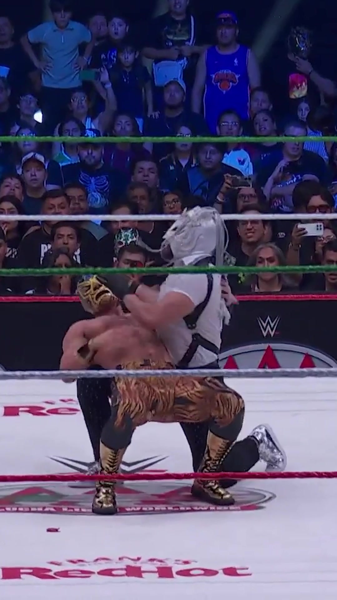 @Lucha Libre AAA