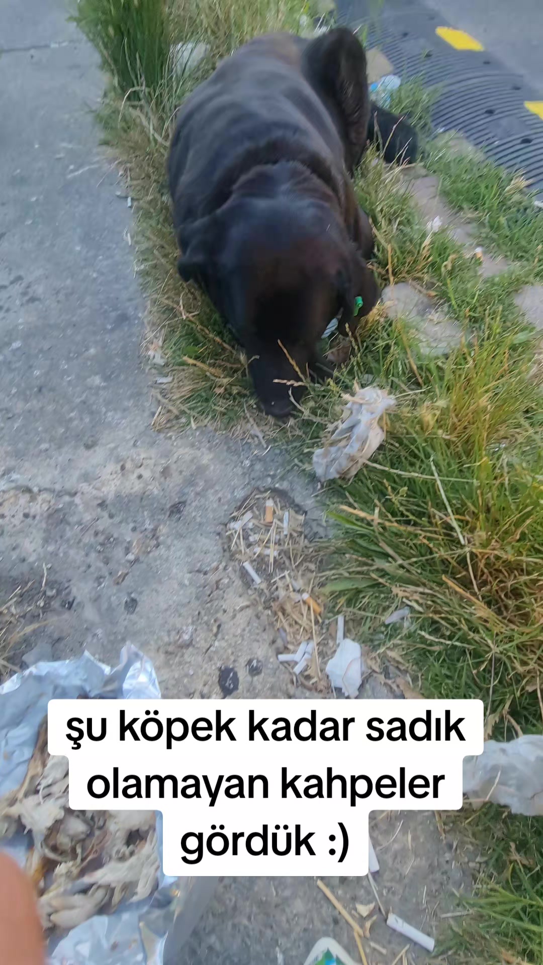 @Bay Eren