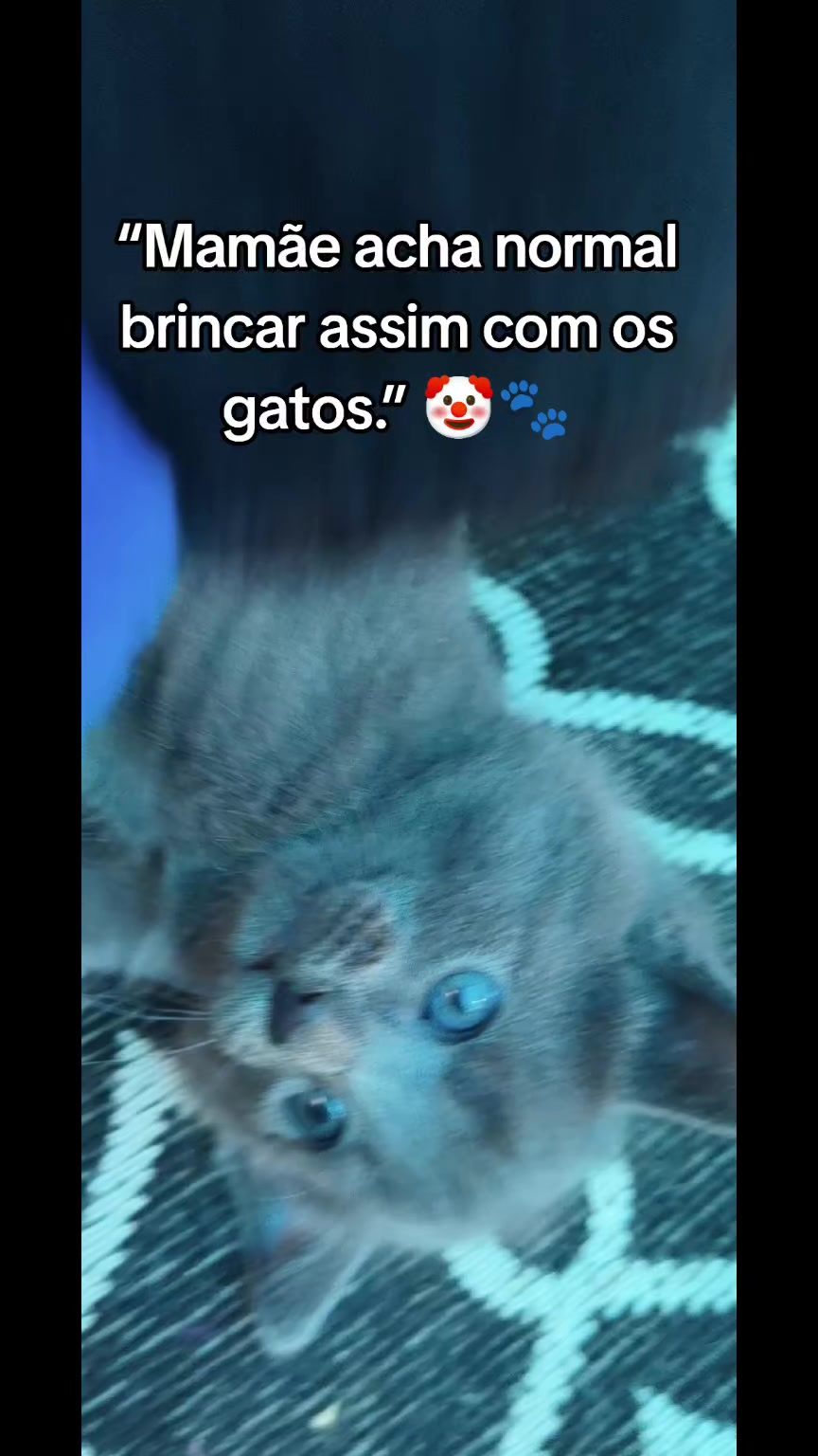 @taty_2803