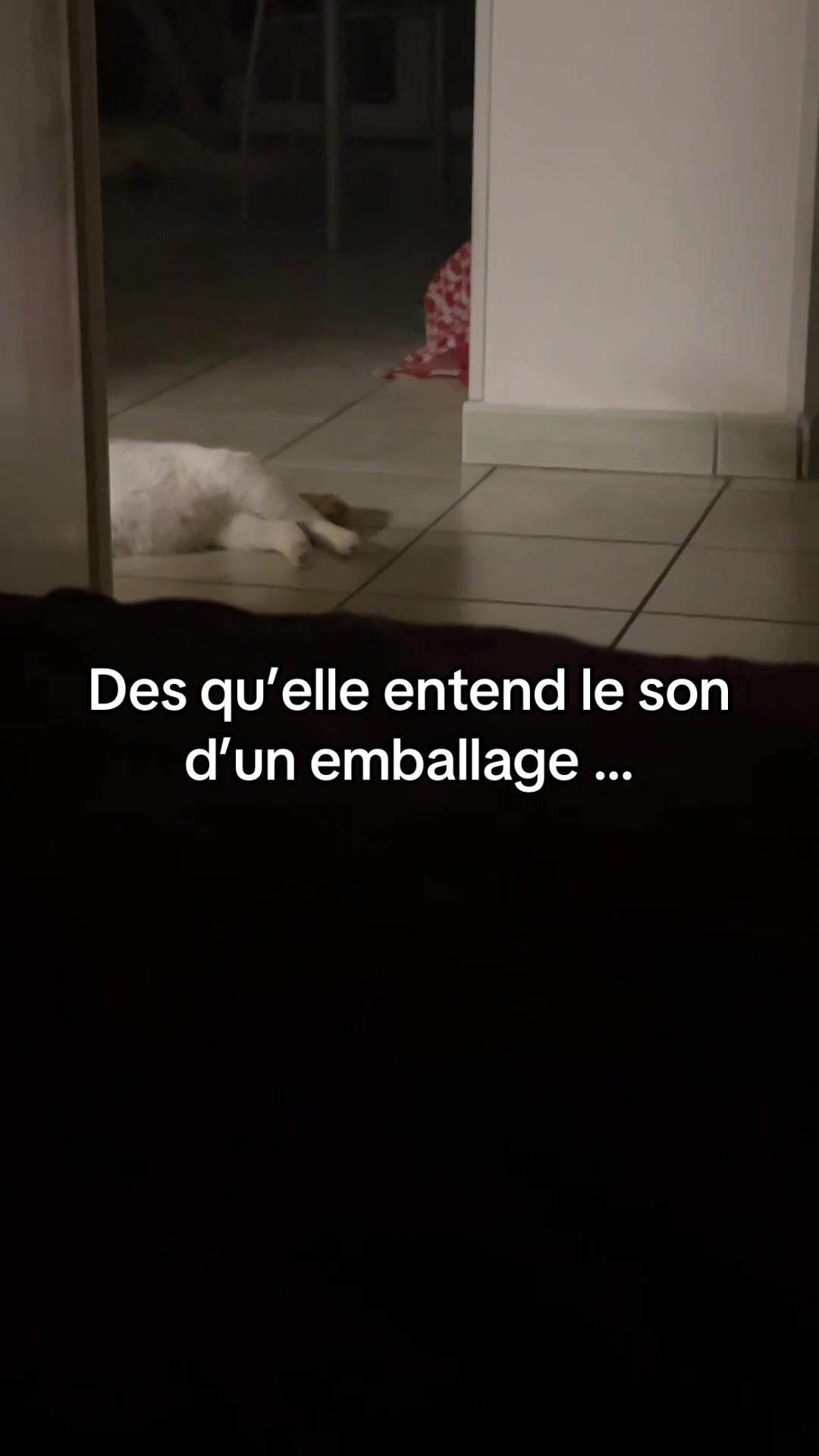 @Frvhv🌻