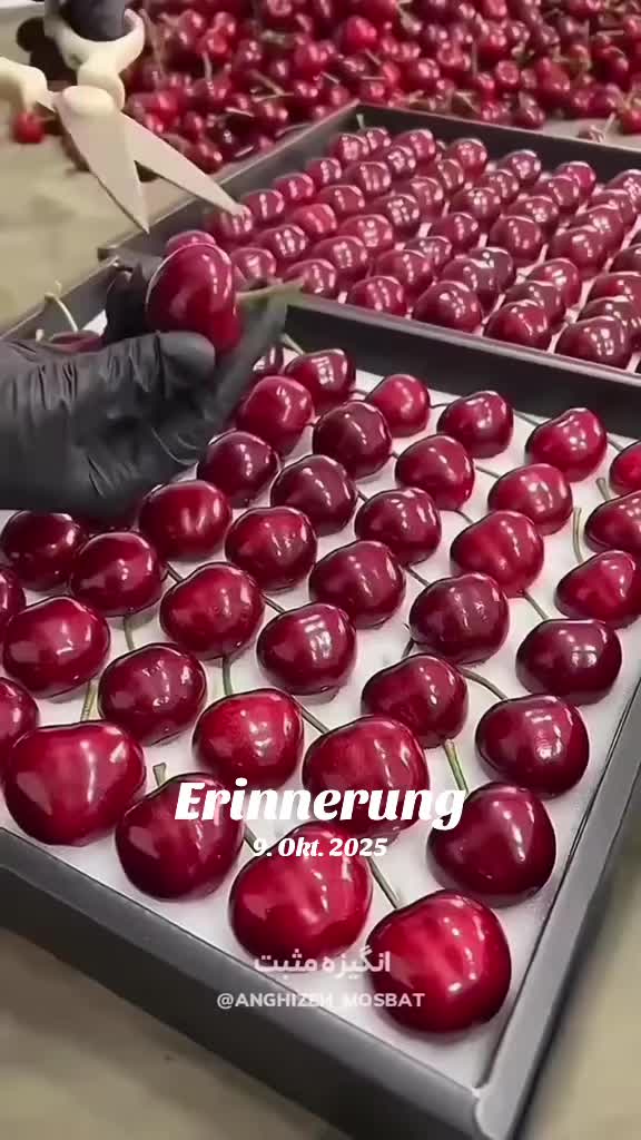 @bavar__kasit__1