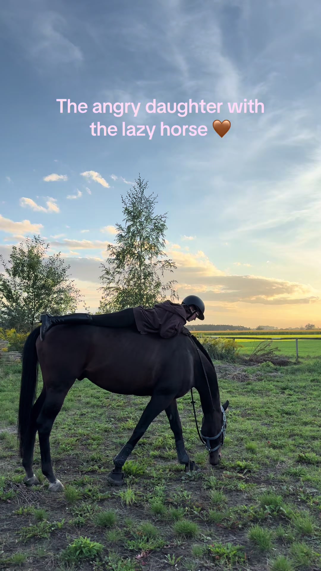 @zofka_eq