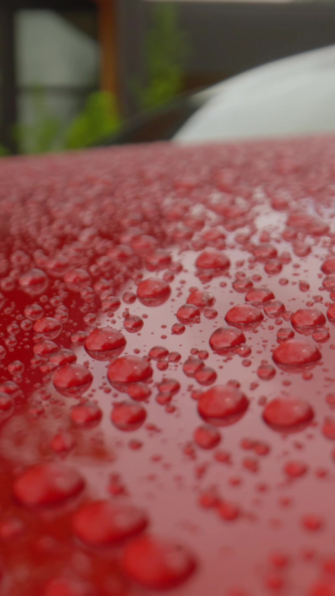 @Turtle Wax