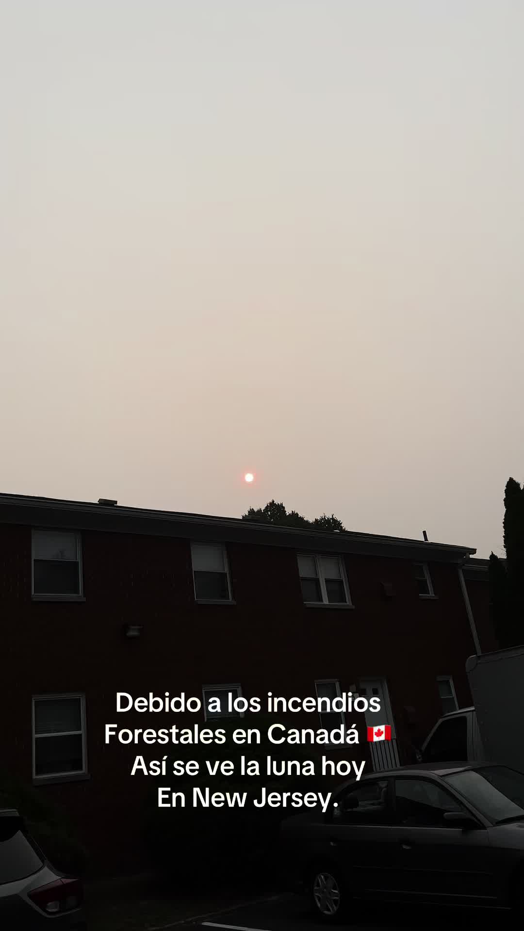 @Sandra Lopez