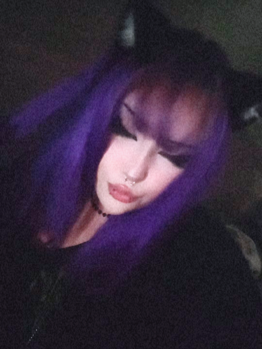 @kitty≽(•⩊ •マ≼