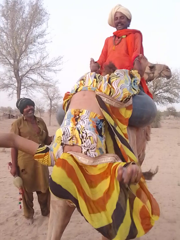 @Camel Lovers