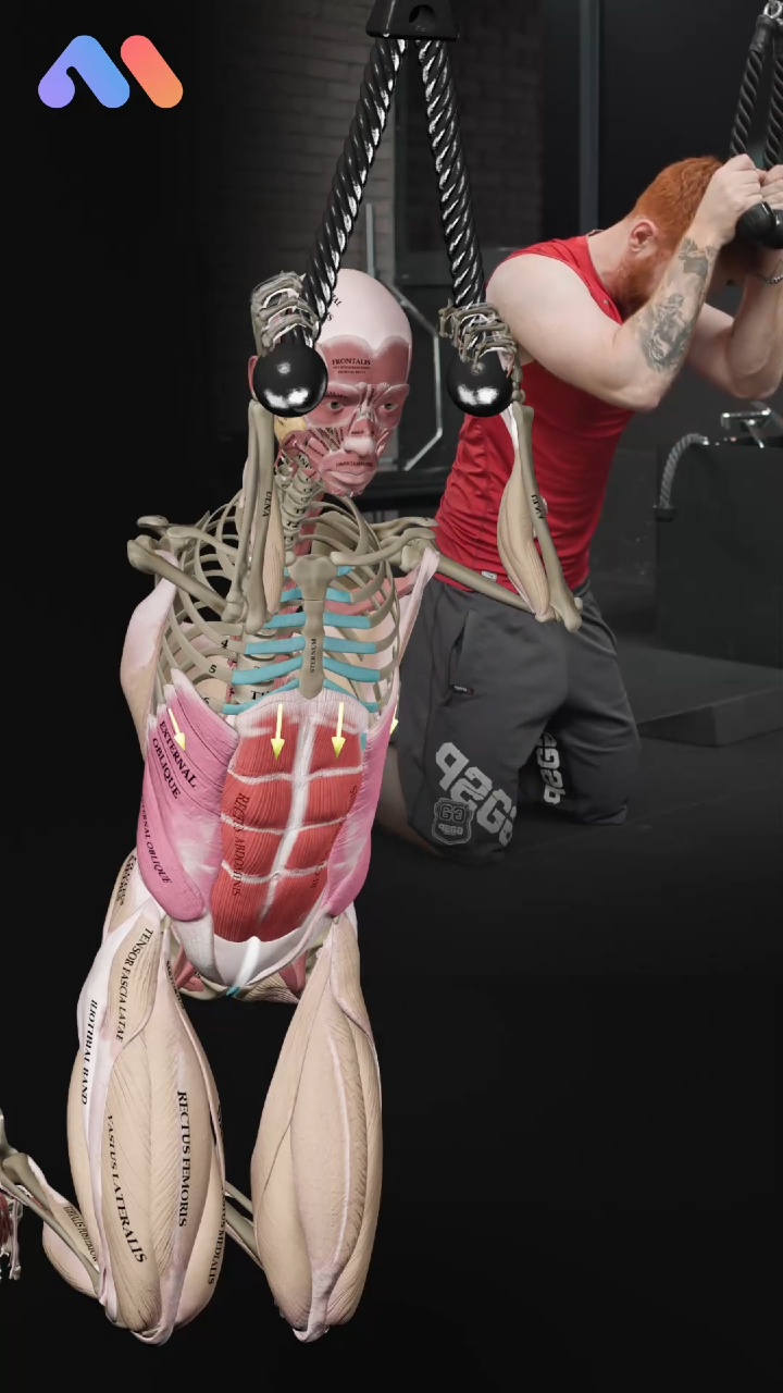 @Muscle & Motion