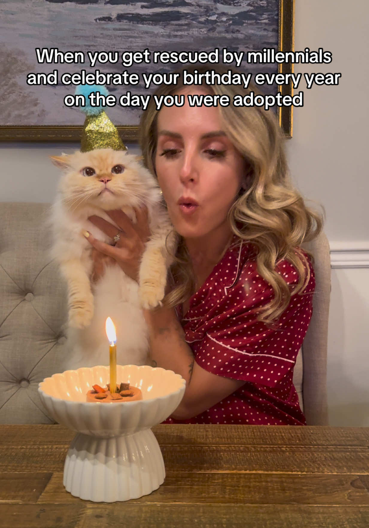 @Krista & Cats: BamBam & Bonnie