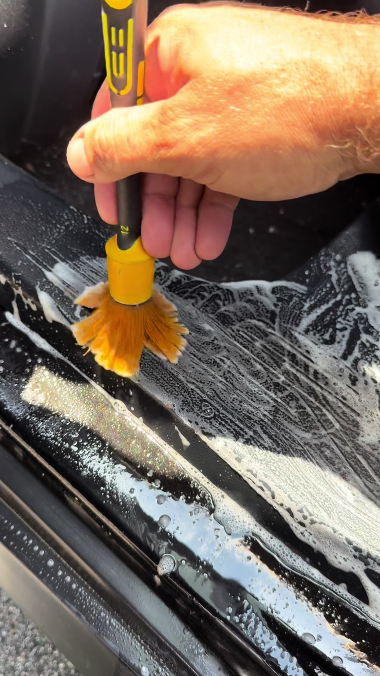 @True Colors Detailing