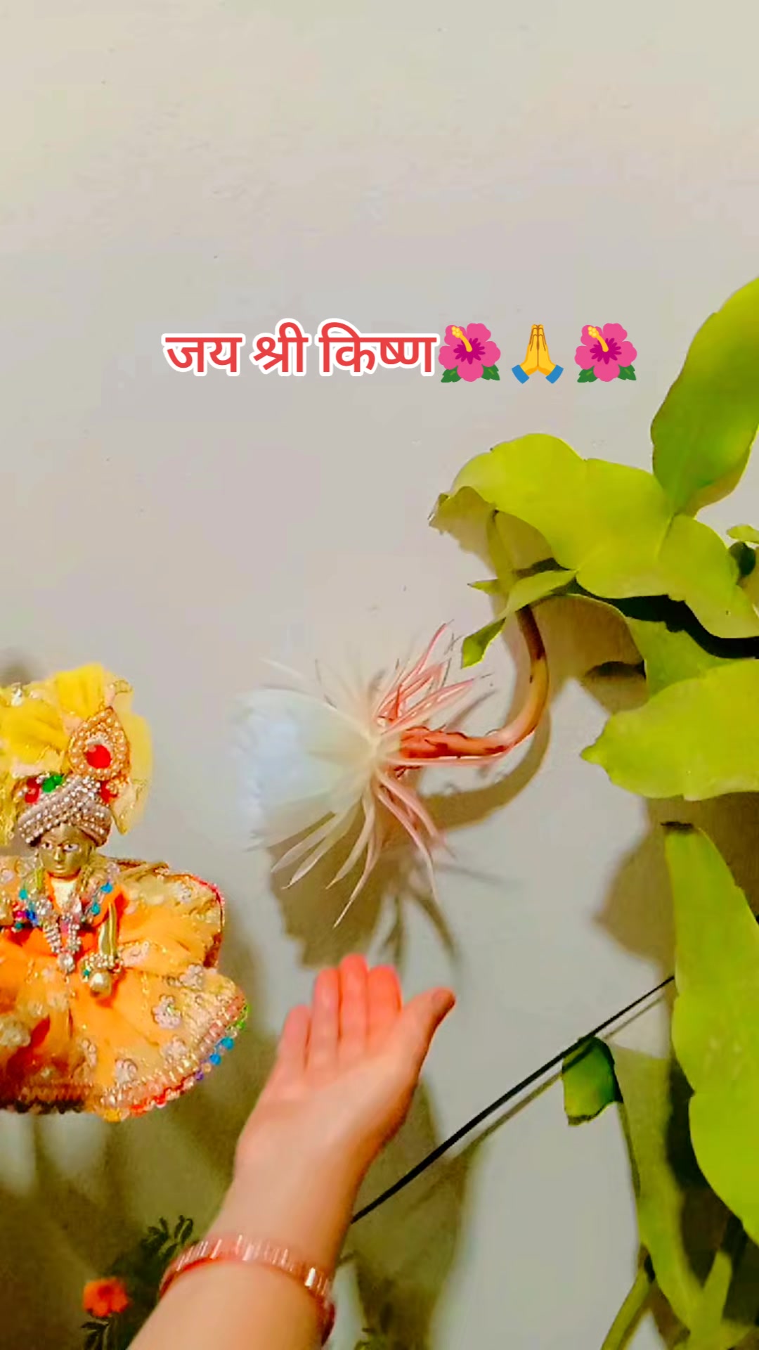 @Nirmala Tiwari