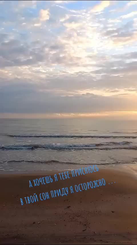 @Незабудка