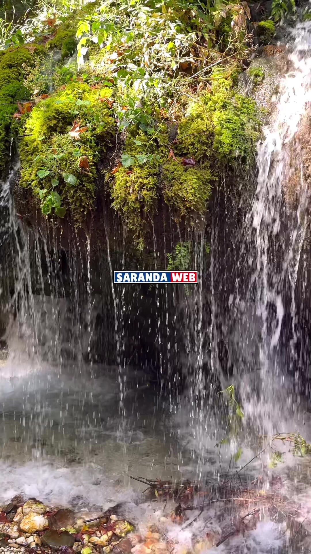 @sarandaweb