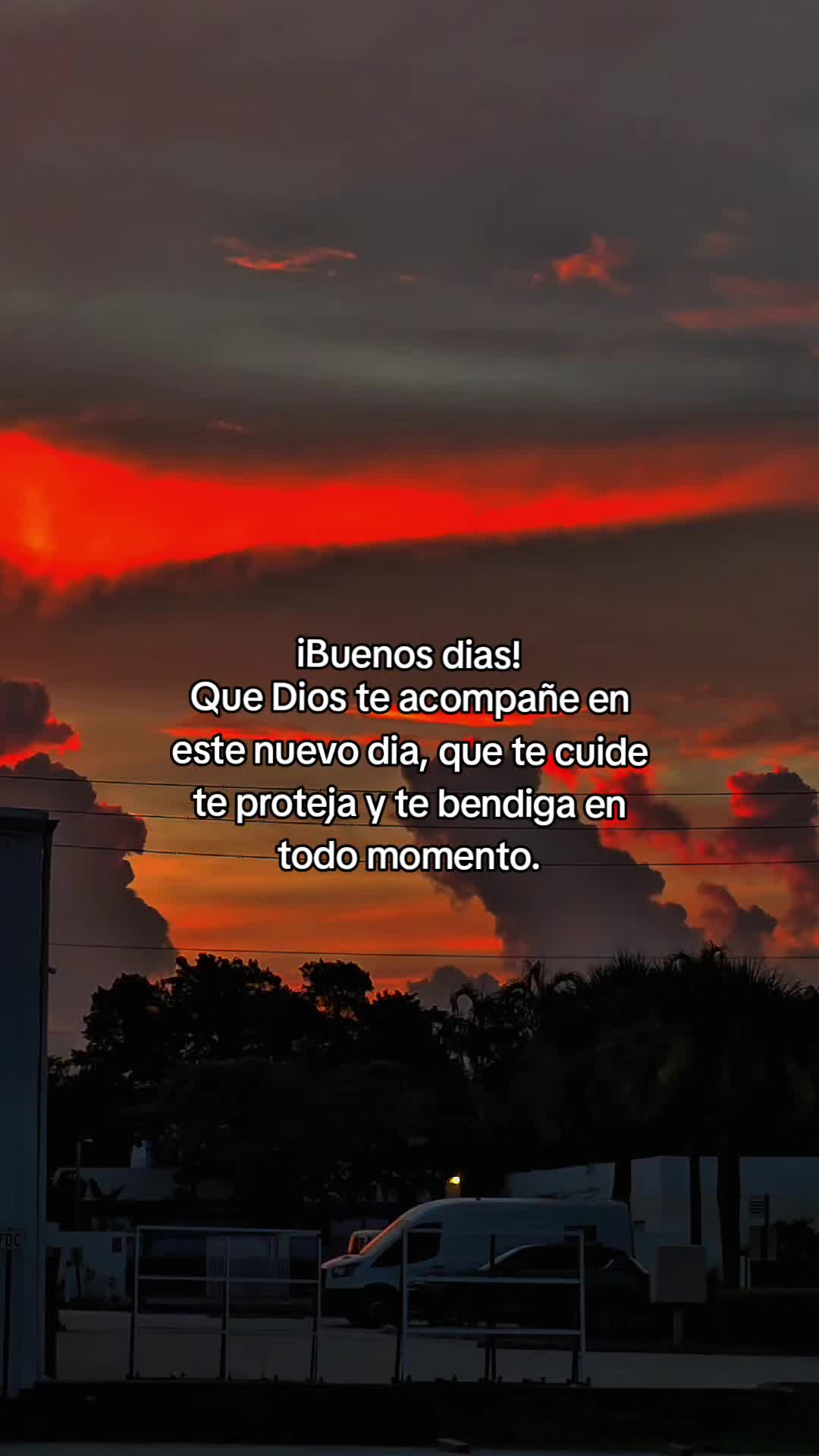 @🦁“INFINITO”✨️🕊