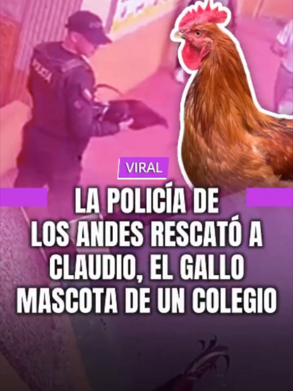 @MINUTO30