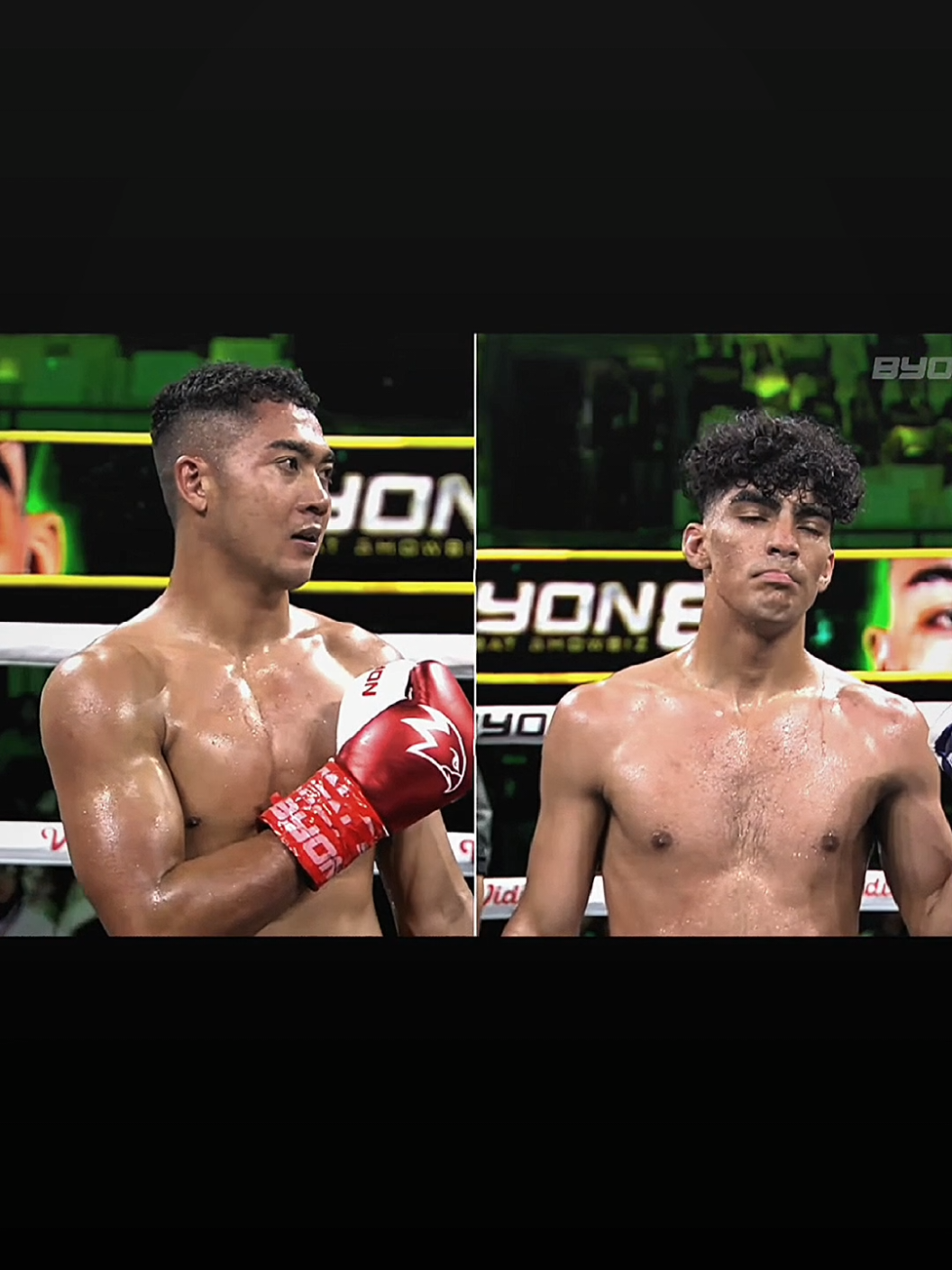@FANS BOXING
