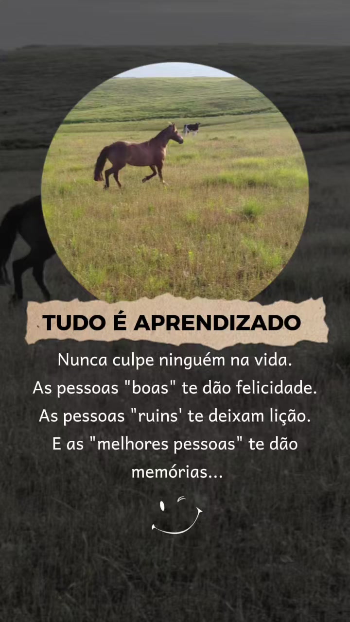 @João Antônio Rupp
