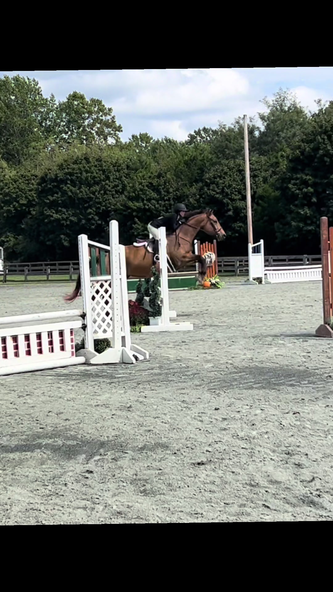 @Aftyn 🐎