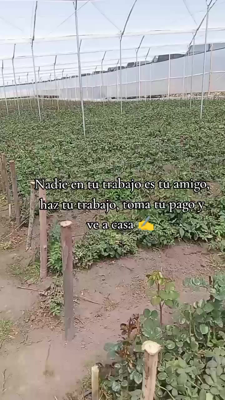 @Œ Mîkäêľå Vârgäs 🥺🥰