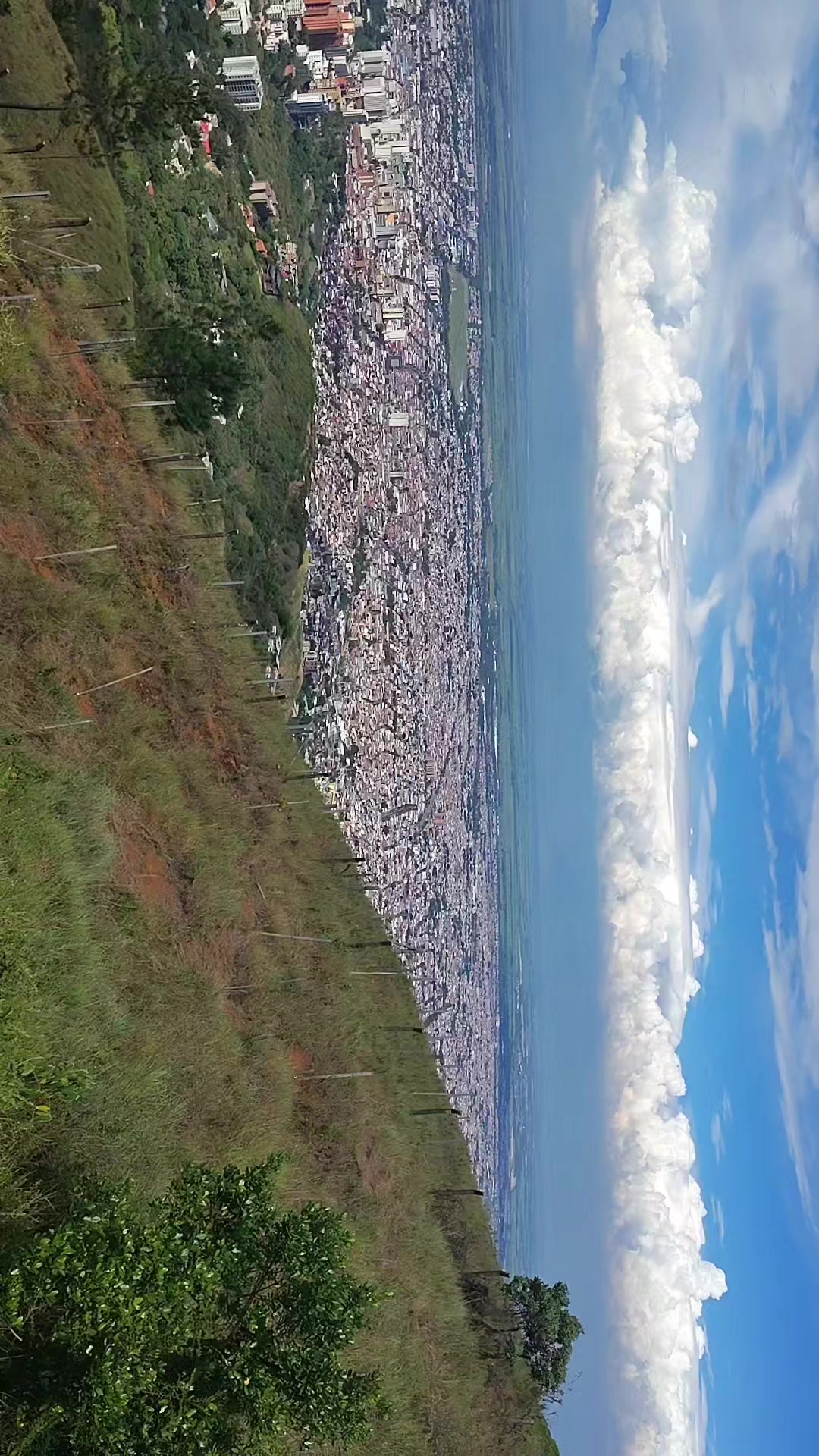 @Miguel Angel Ramirez